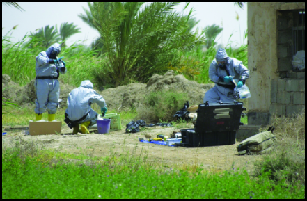 ISG in chem gear